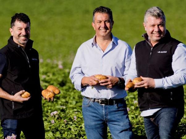 Coles - Towards a Better Future.  One of the winners of the  2021 Coles Supplier of the Year Awards, Mitolo Family Farm was named Fresh Produce Supplier of the Year. Pictured is managing director, Frank Mitolo at far right, with brothers, from left, Darren and John. Picture: supplied