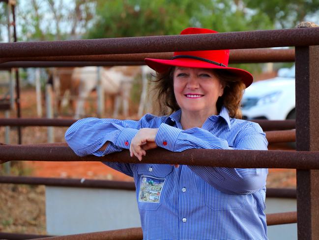 Mining magnate and Hancock Chairman Gina Rinehart has had close contact with politicians for decades.