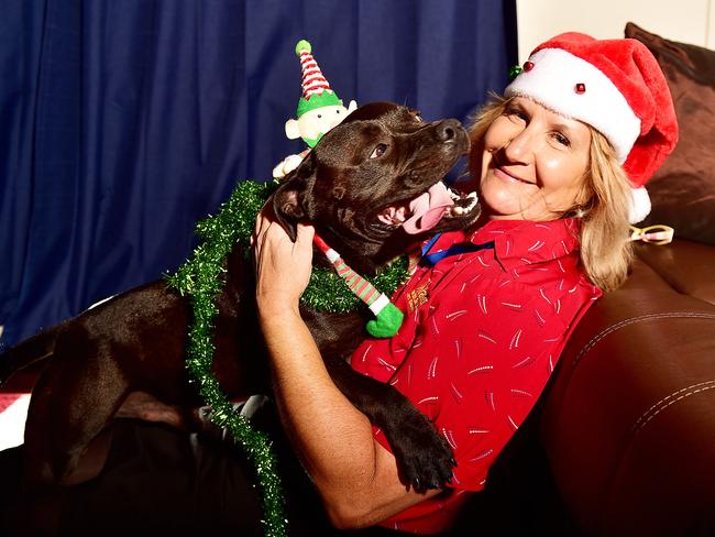 Cherrie Vitali with her dog, Norman the 5yo English Staffy have put an invite for struggling families to come spend Christmas with them.