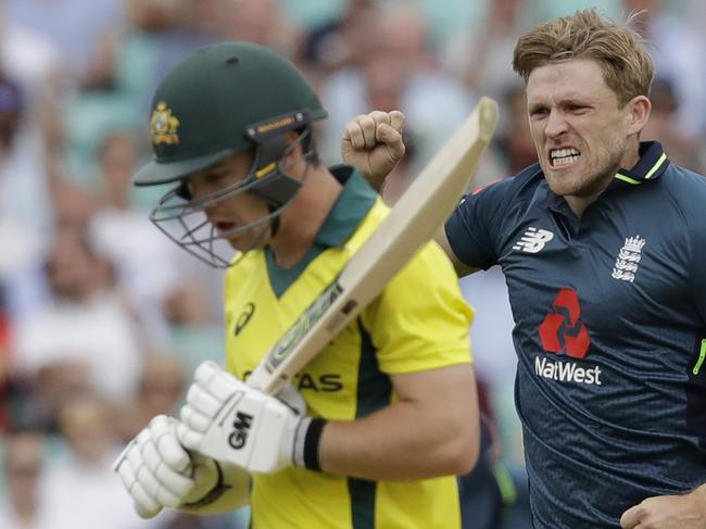 England's David Willey celebrates taking the wicket of Australia's Travis Head during the one-day cricket match between England and Australia at the Oval cricket ground in London, Wednesday, June 13, 2018. The game is the first of a five match one-day series between the two sides. (AP Photo/Matt Dunham)