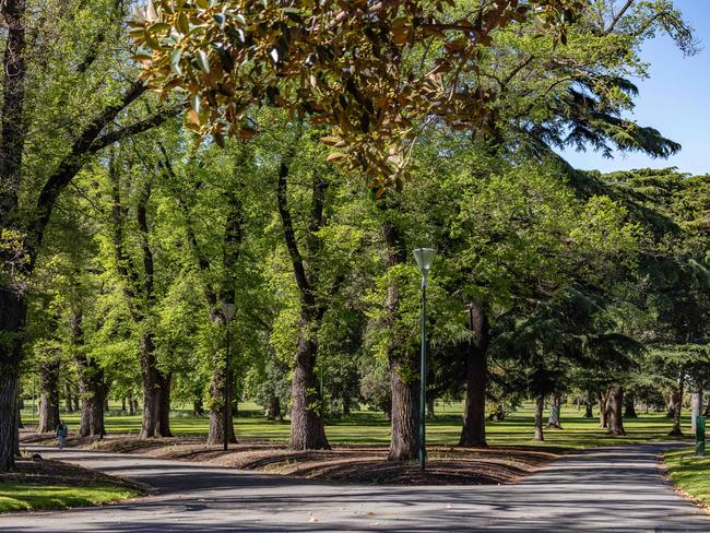 Melbourne’s leafy Fitzroy Gardens. Picture: Sarah Matray/NCA NewsWire