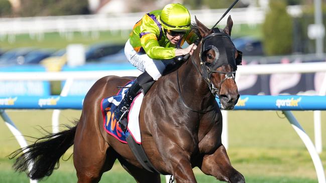 Vain Stakes winner Band Of Brothers makes his return at Geelong on Saturday and looks a nice each-way play in the final race of the day. Picture: Scott Barbour / Racing Photos