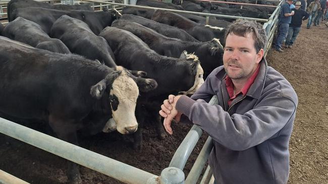 Tom Oliver, Homewood, with some of the family’s 36 grown Angus and black baldy steers, which were caught up in the cheaper trend for heavier and older cattle at Yea today. Their best price was $1760 for 484kg, representing 363c/kg.