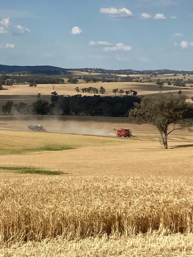 Harvest at the Ingold family property at Dirnaseer in southern NSW. Picture: Supplied