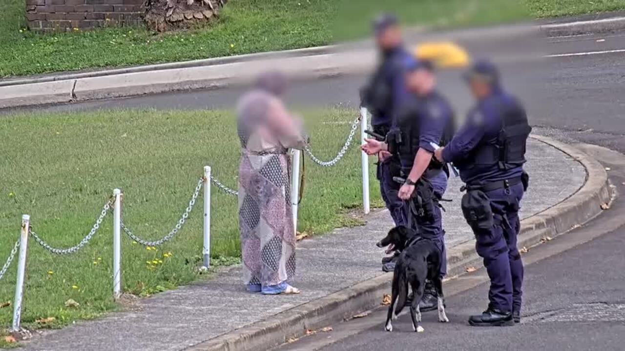 Police dog foils alleged contraband plot