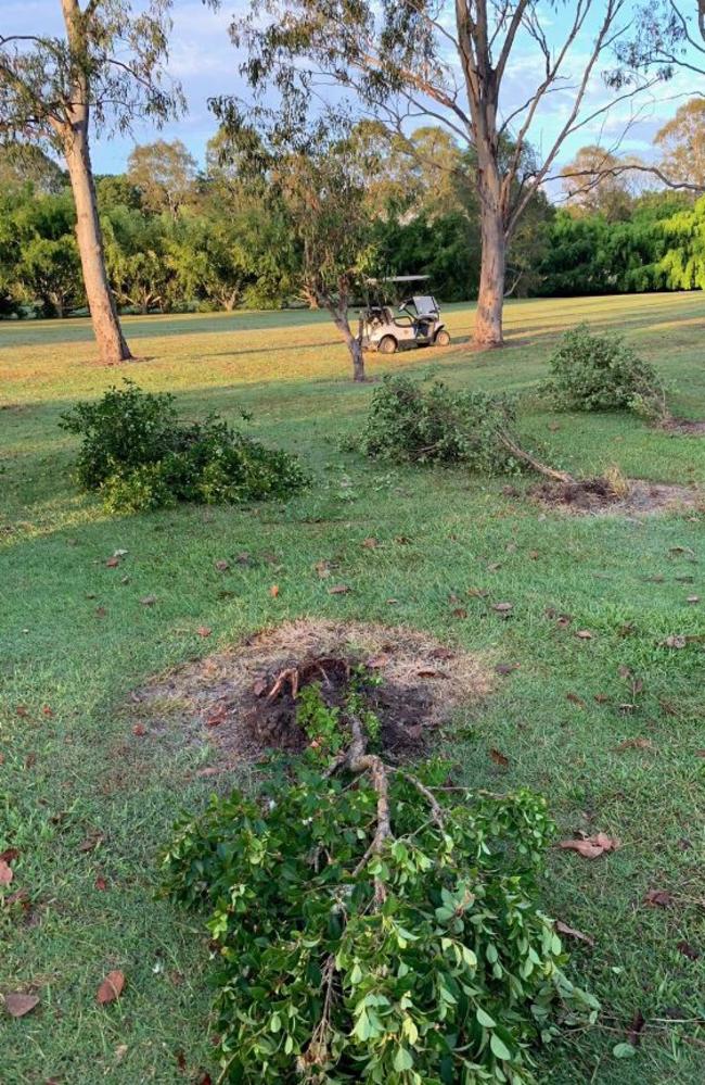 The group ran over a number of shaped bushes at the Tallebudgera Golf Course. 