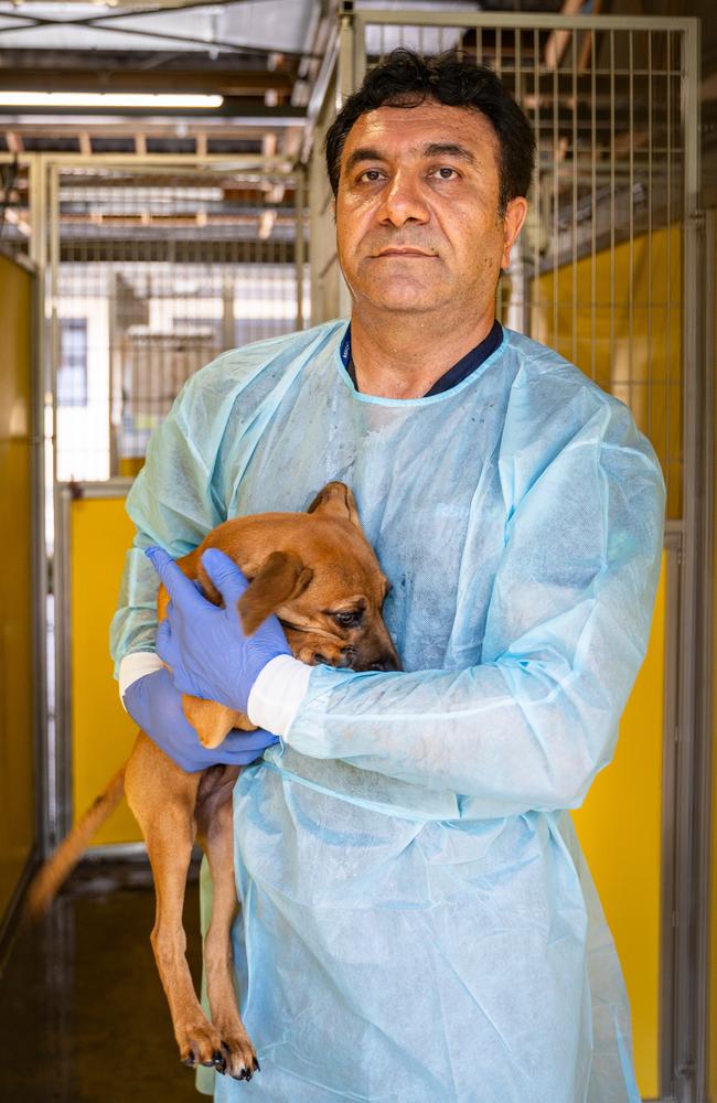 Vet Nurse Fred Mahjoub.