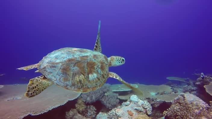 Cocos Keeling Islands: Welcome to Paradise