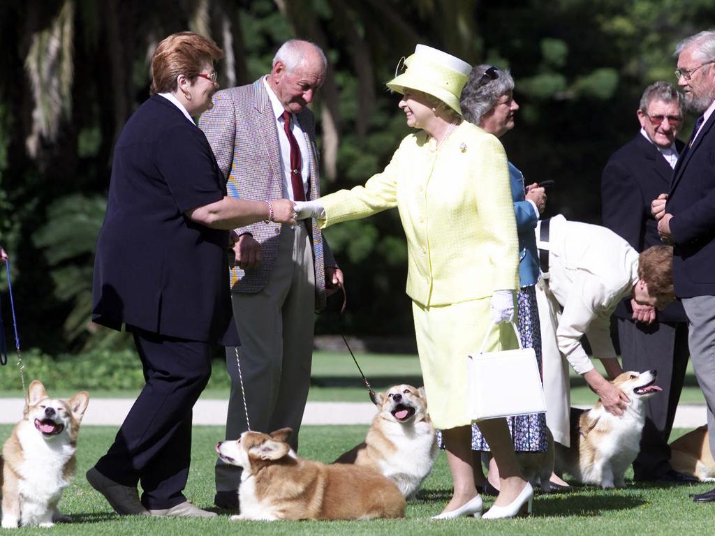 Queen’s last corgi dies after life of following her around palace | The ...