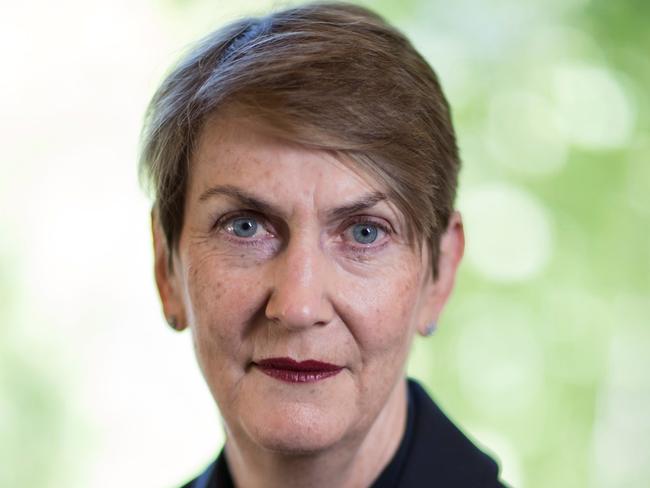 Chief Justice Anne Ferguson