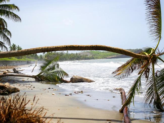 Hurricane Beryl expected to hit Jamaica after killing seven 