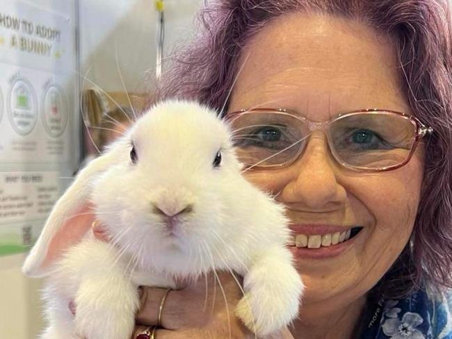 Co-founder of the Rabbit Sanctuary,  a rescue organisation for bunnies, Kim Cooney is currently recruiting foster carers.