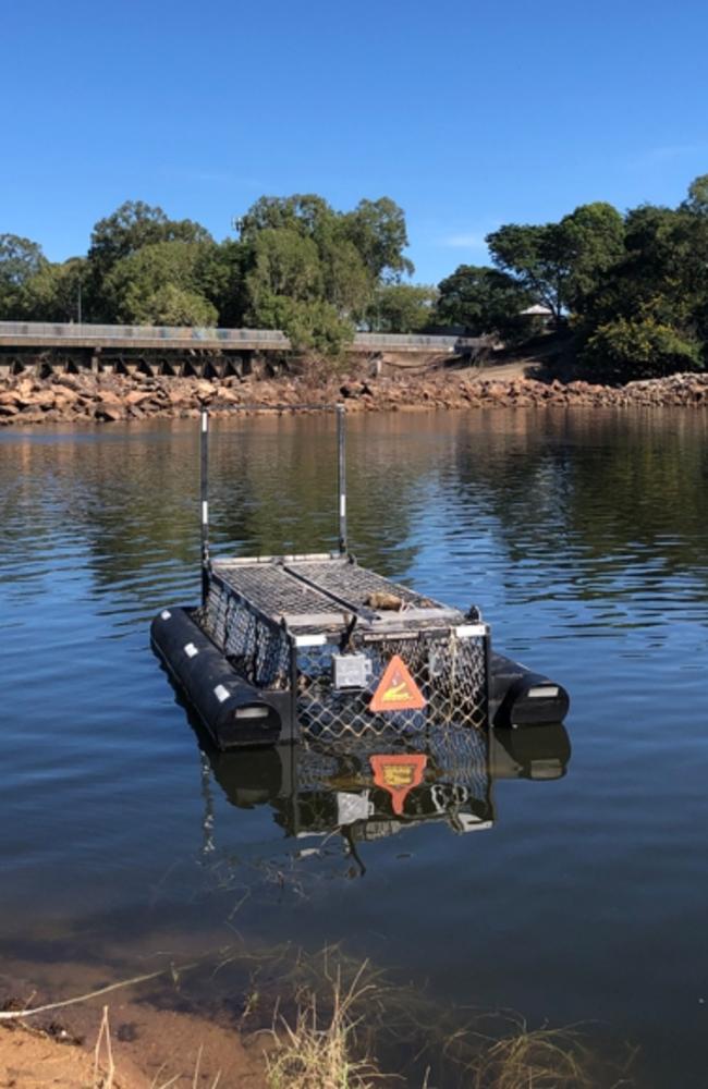 The Department of the Environment, Tourism, Science and Innovation The department investigates every crocodile sighting report received. Picture: Supplied