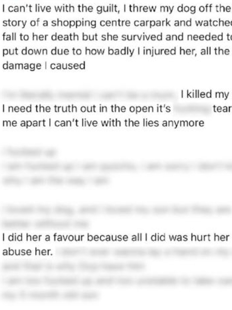 The 26-year-old admitted she couldn’t live with the guilt in a post on Facebook. . Picture: Facebook