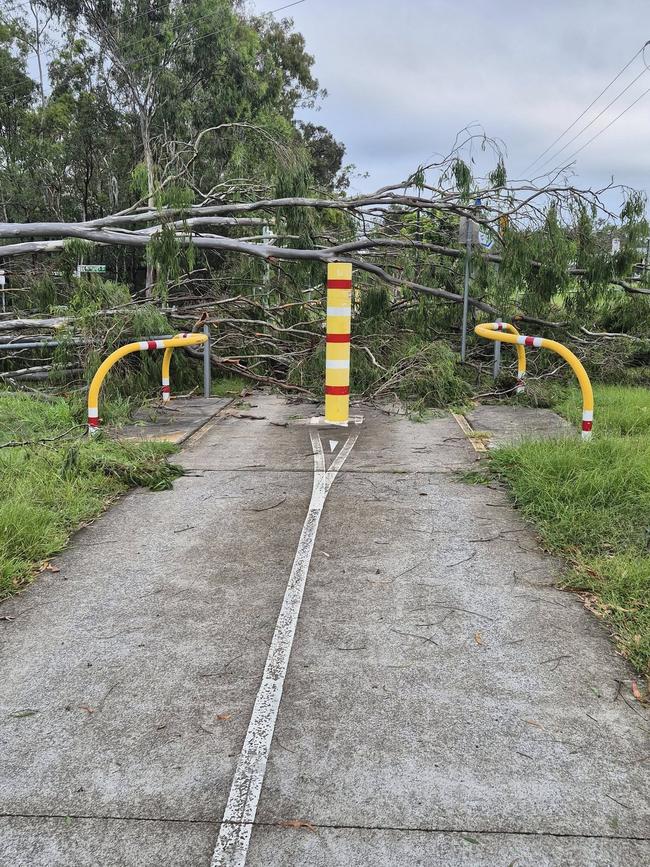 The trees were brought down in several sections of the Brisbane Valley Rail trail (Wulkuraka to Coominuya).