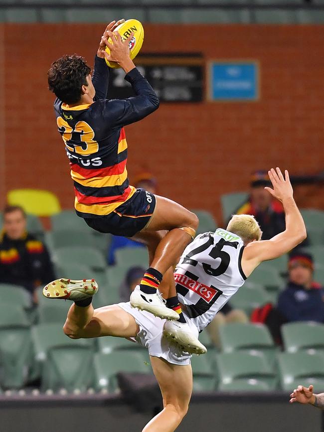 McAdam using a Crisp step-ladder.