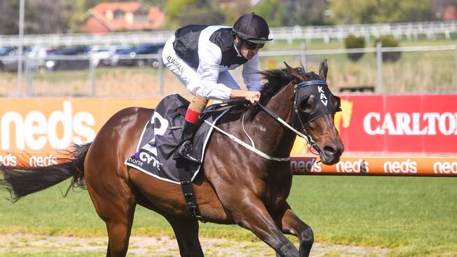 First Immortal blew his rivals away last start at Caulfield. Picture: Reg Ryan/Racing Photos via Getty Images