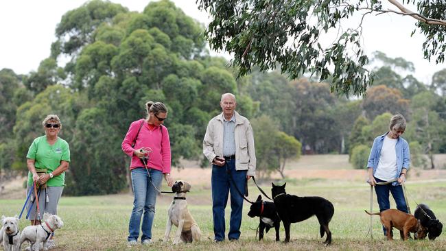 Kilsyth dog owners Margaret Awty, Megan Loly, Malcolm Large, and Shirley Boulton at the former school site. Picture: Steve Tanner