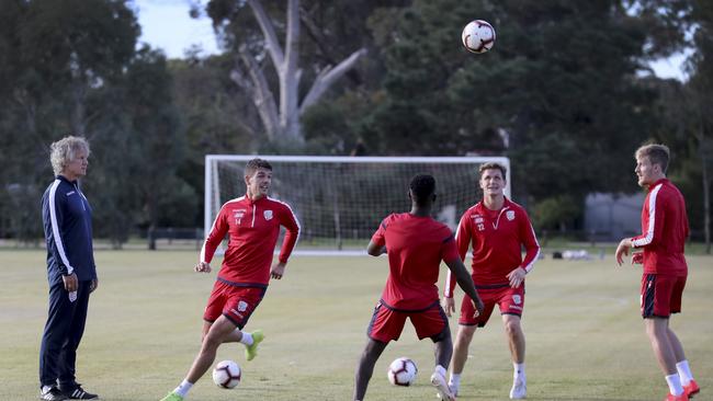 New Adelaide United coach Gertjan Verbeek oversees his first pre-season training session on Ridley Reserve’s open pitches. Picture: Dean Martin