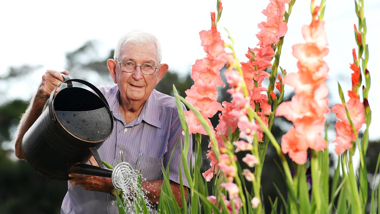 Grower aims to retake Show crown with glorious gladiolus