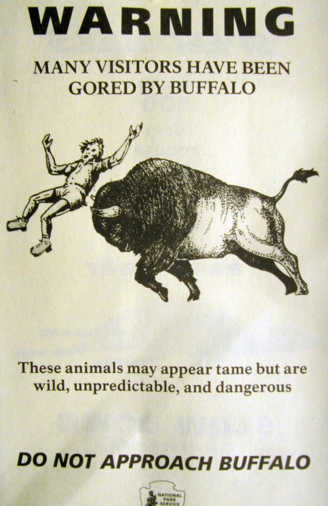 The pamphlet distributed to people entering Yellowstone National Park.