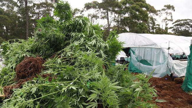 Two men were arrested and charged during the raid. Picture: NSW Police