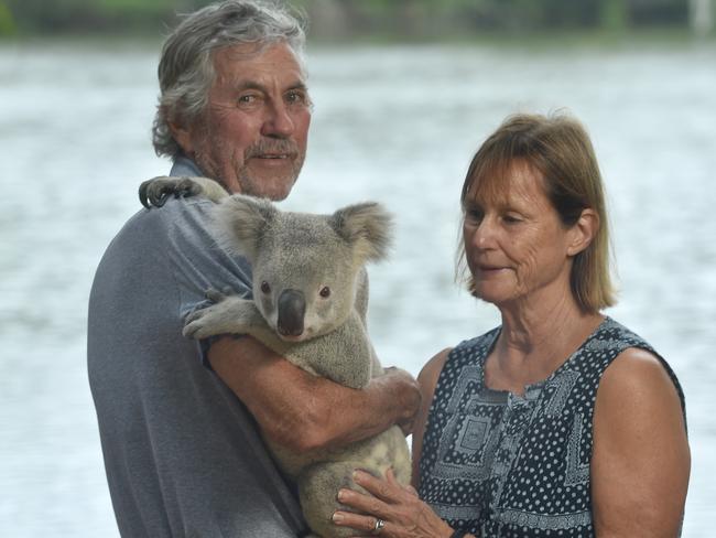 Bob and Del Flemming, with Maluka the koala, at Billabong Sanctuary which will reopen on June 27. Picture: Evan Morgan