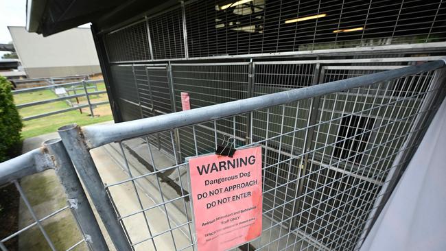 The new dangerous dog enclosure at Wacol has made handling dogs safer for staff. Picture: Lyndon Mechielsen/The Courier-Mail