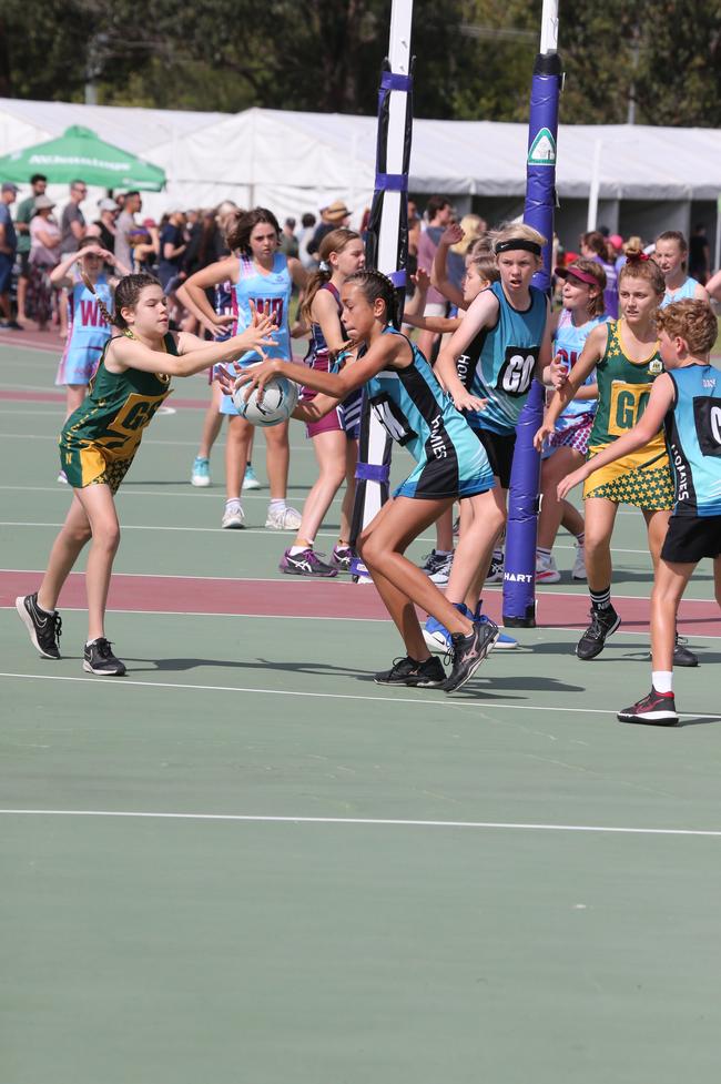 The Netball Qld Primary Schools Cup grand finals are being held at the Hinterland District Netball Association at Mudgeeraba. Picture: Mike Batterham.