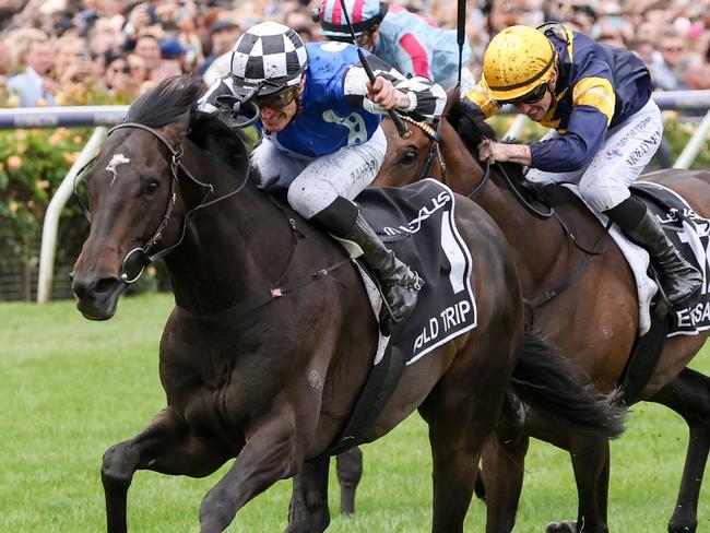 Gold Trip (FR) ridden by Mark Zahra wins the Lexus Melbourne Cup at Flemington Racecourse on November 01, 2022 in Flemington, Australia. (Photo by George Sal/Racing Photos via Getty Images)