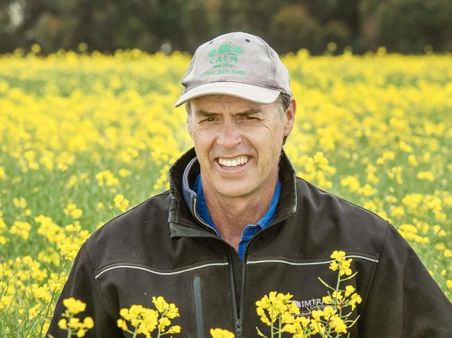 CROPPING: Evan Lewis on farm at WernethPICTURED: Evan Lewis on farm in his canola crop at WernethPicture: Zoe Phillips