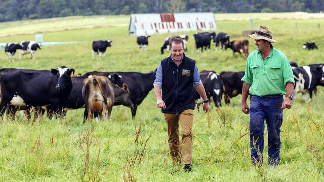 Ashgrove Farms' Richard and Paul Bennett are part of Coles' Tassie brand push.