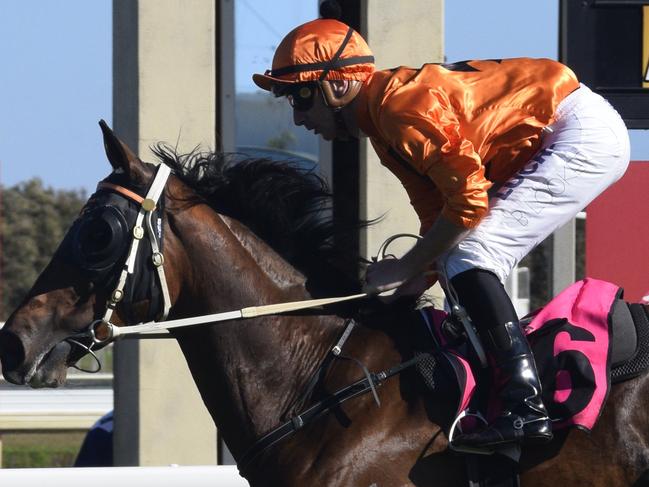 Ben Looker rides Miss Fraser to victory in race four at Coffs Harbour on Saturday.