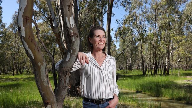 New deputy … Nationals Senator Perin Davey. Picture: Richard Dobson