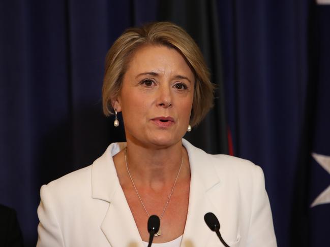 Kristina Keneally is the shadow minister for home affairs, and also for immigration and citizenship. Picture: Kym Smith