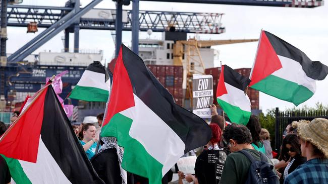 Pro-Palestinian community holding flags and placards during a protest at the Port Botany terminal in Sydney.