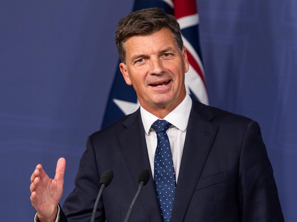Angus Taylor will run for the Liberals leadership, and there is speculation Jacinta Price will be on his ticket as deputy. Picture: NewsWire / Monique Harmer