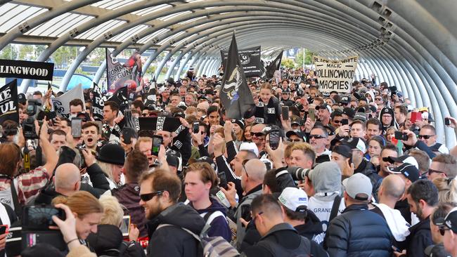 A huge amount of Collingwood fans walk towards the MCG. Picture: Jason Edwards