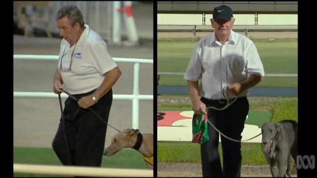 Two Queensland greyhound trainers suspended pending inquiry over race  fixing charges