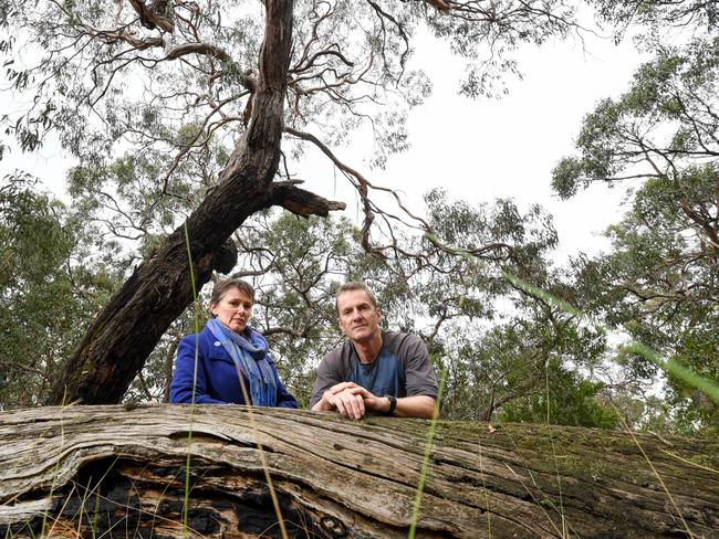 Michelle de la Coeur and Mark Fancett are campaigning against plans for a huge quarry adjacent to the Arthurs Seat State Park. Picture: Penny Stephens