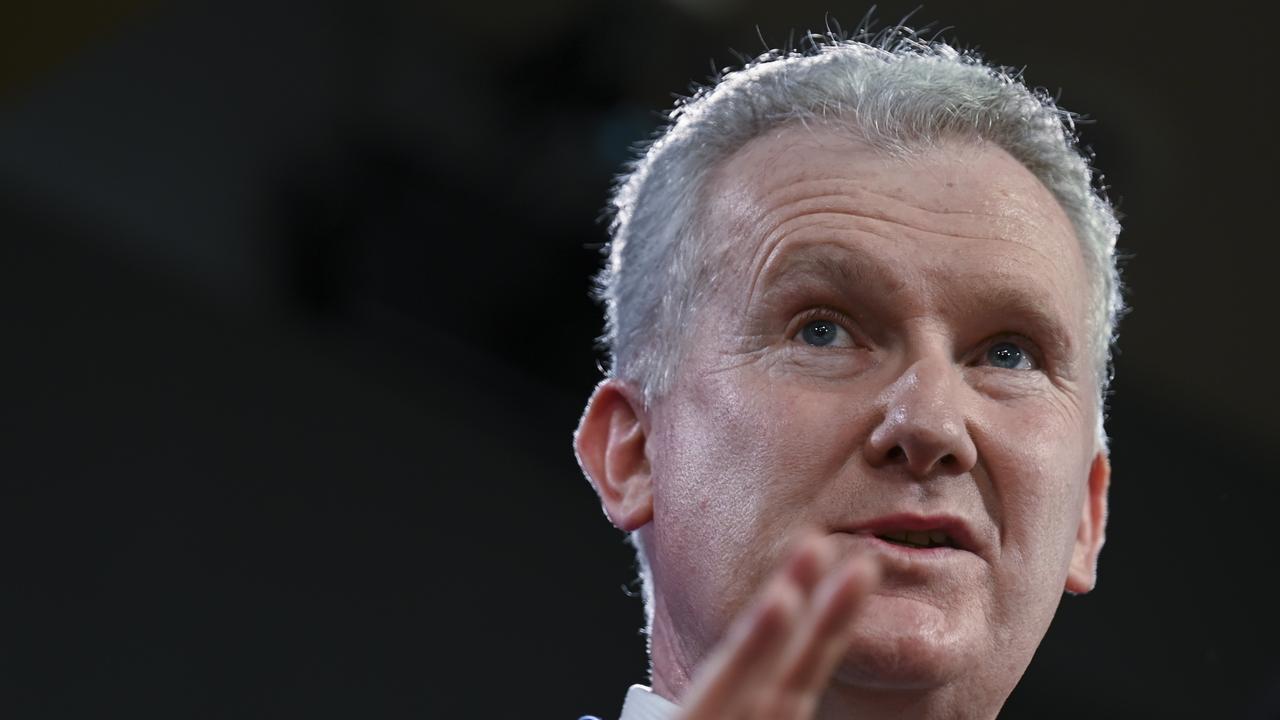 Tony Burke and journalist Patricia Karvelas have come under fire from Australia’s peak Jewish body over an interview. Picture: NCA NewsWire / Martin Ollman