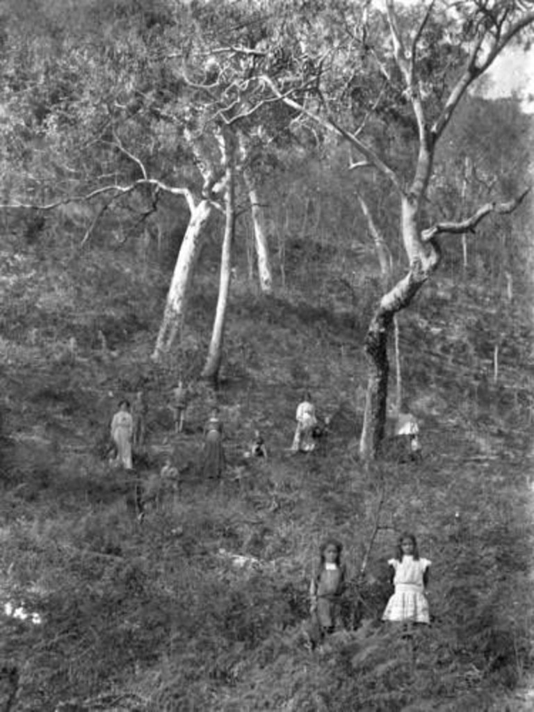 The Byrne Family at The Den, Fraser Island, ca. 1910. A favourite picnic spot for a Maryborough family, nestled in Fraser Island’s beauty. Source: Unknown