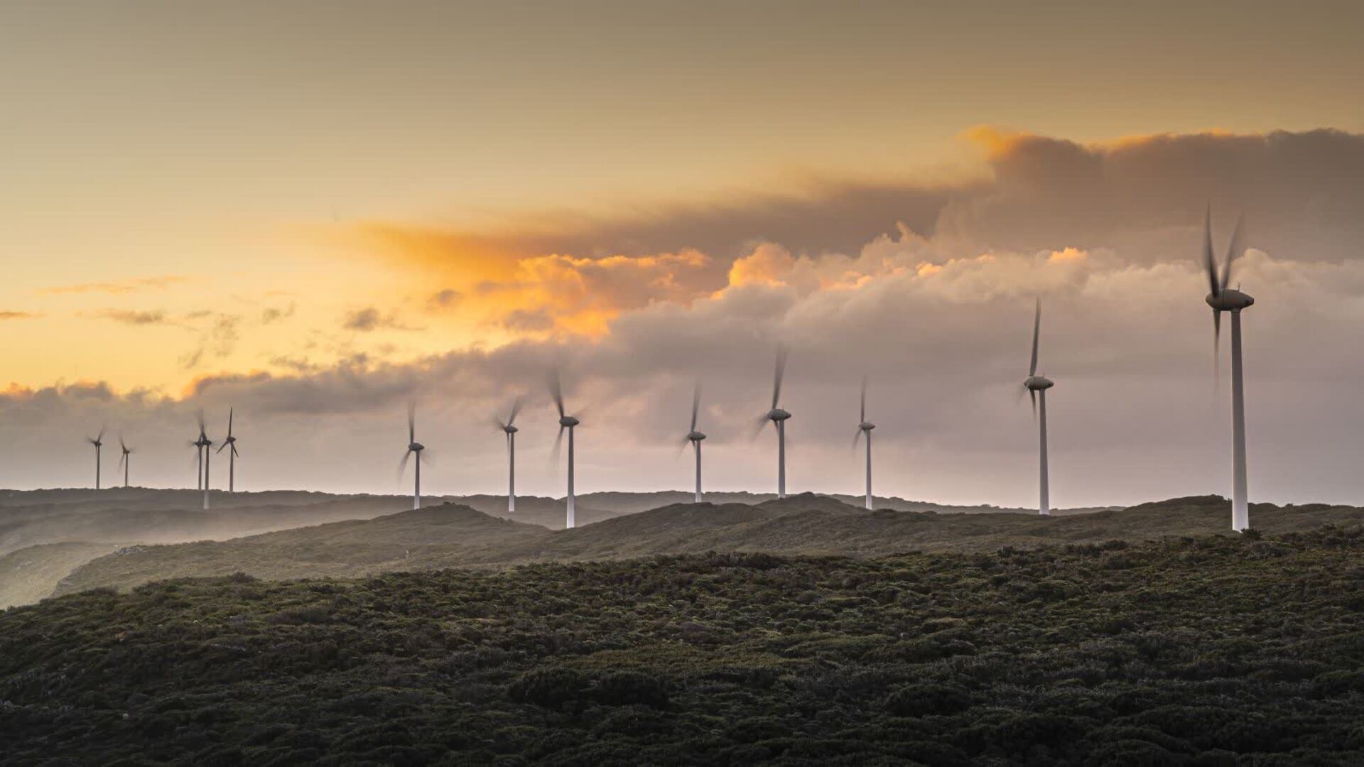 Australian renewable energy slammed as ‘always unrealistic’ as costs mount