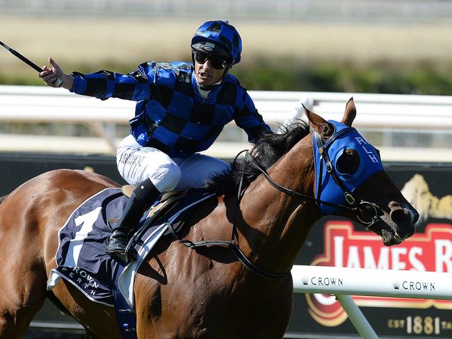 SPORT - Super Saturday, Ascot, Perth. Photo by Daniel Wilkins. PICTURED - Race 7, Buffering ridden by Damian Browne wins the Winterbottom Stakes
