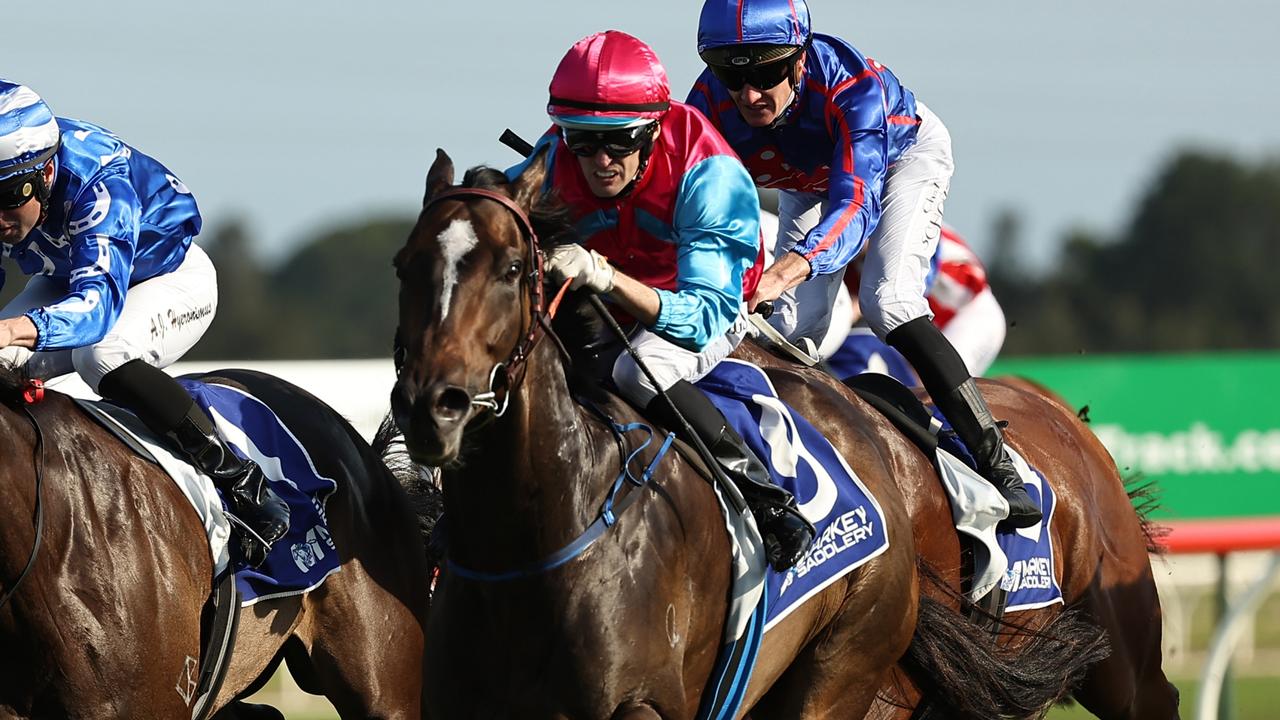 Improving sprinter Headwall had a luckless autumn campaign. Picture: Jeremy Ng/Getty Images