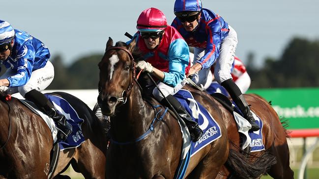 Improving sprinter Headwall had a luckless autumn campaign. Picture: Jeremy Ng/Getty Images