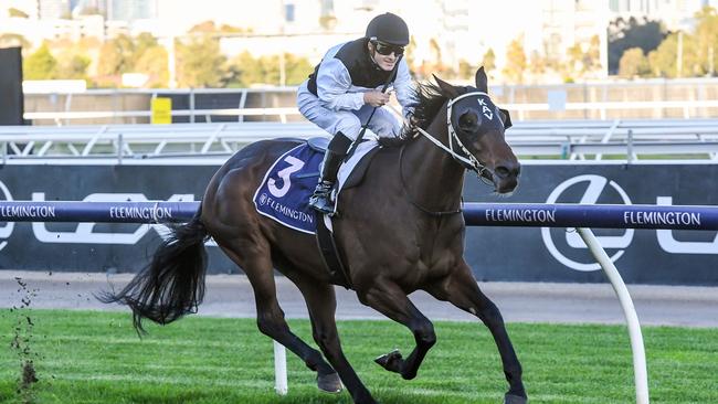 First Immortal was an impressive winner at his first run beyond 2000m at Flemington last winter. Picture: Racing Photos