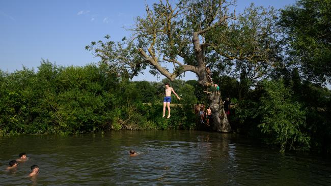 A man leaps from the very top of a tree into the River Cam in Cambridge, England overnight. Picture: Getty Images