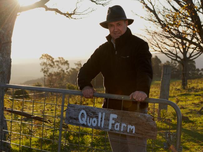 Filmmaker Simon Plowright spent a year living on an abandoned farm in the state’s North-East capturing the antics of quolls. Picture: ABC