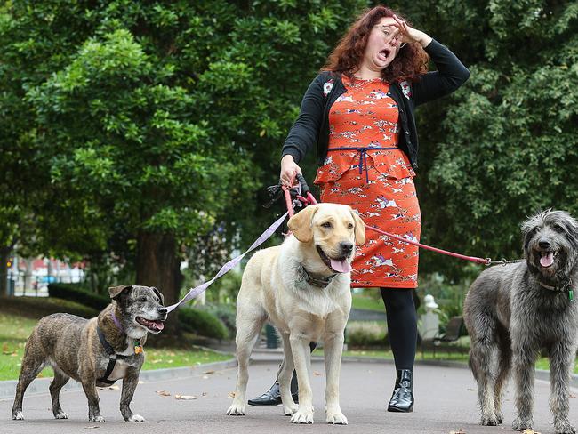 Comedian Mel Buttle with Charlie, Buddy and Cliff in Queen Victoria Gardens. Picture: Ian Currie